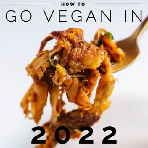 How to Go Vegan Feature