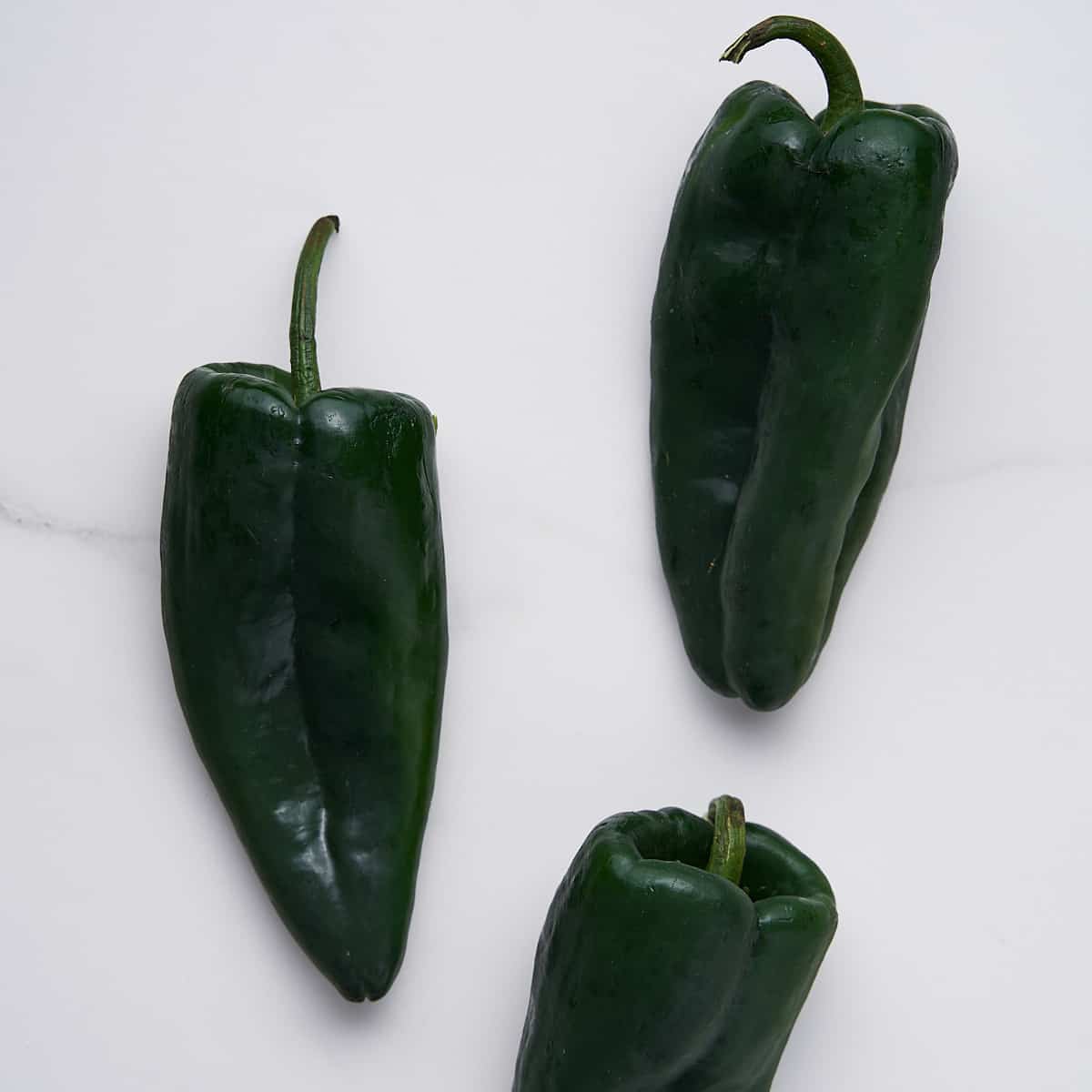 https://brokebankvegan.com/wp-content/uploads/2021/12/Poblano-Peppers-1200x1200-1.jpg?utm_source=chatgpt.com