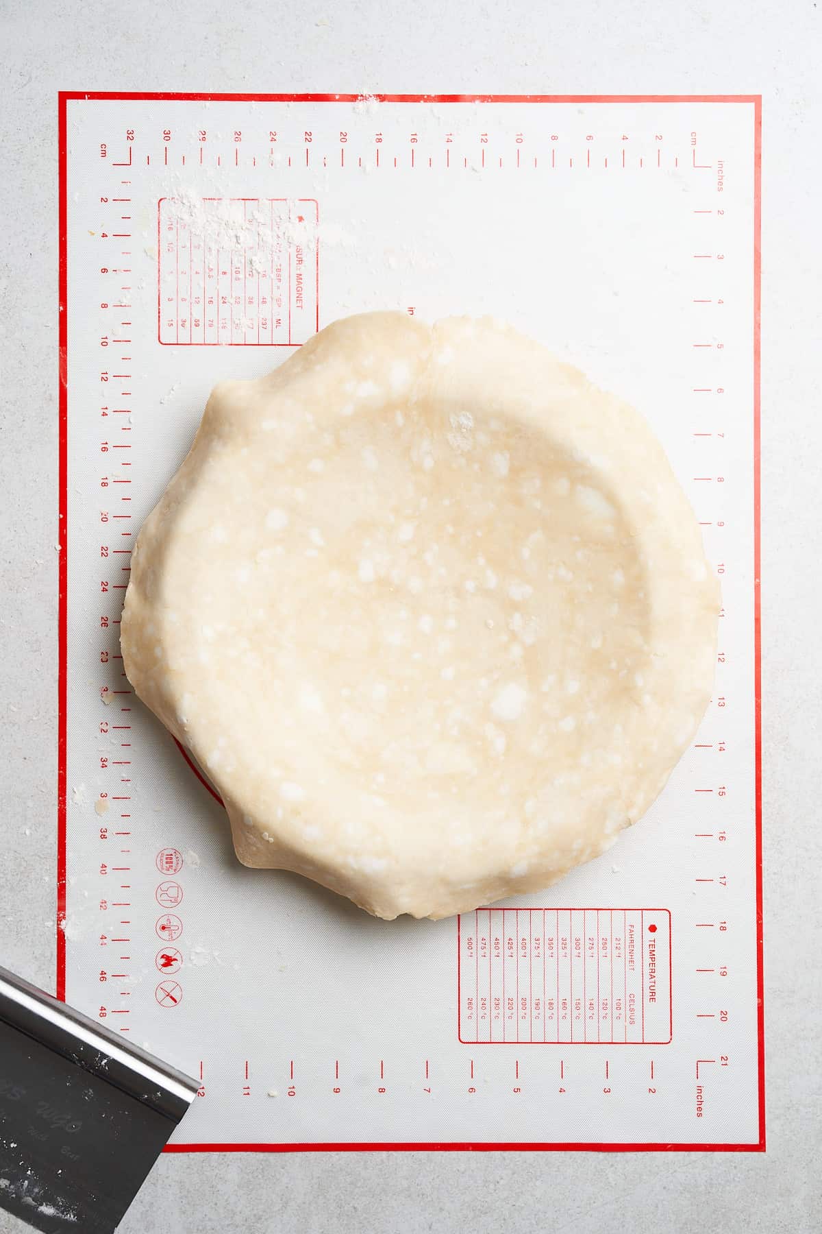 Pie crust in a pie dish.