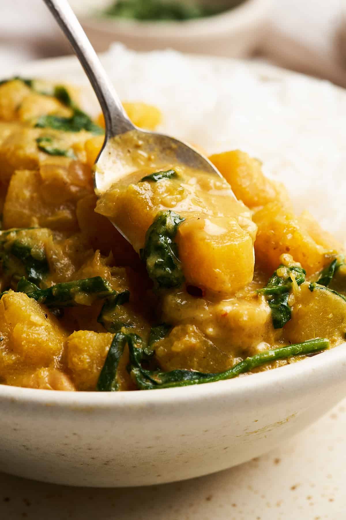 Spoonful of butternut squash curry.