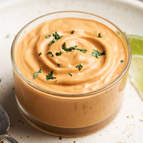 Vegan chipotle sauce on a plate.