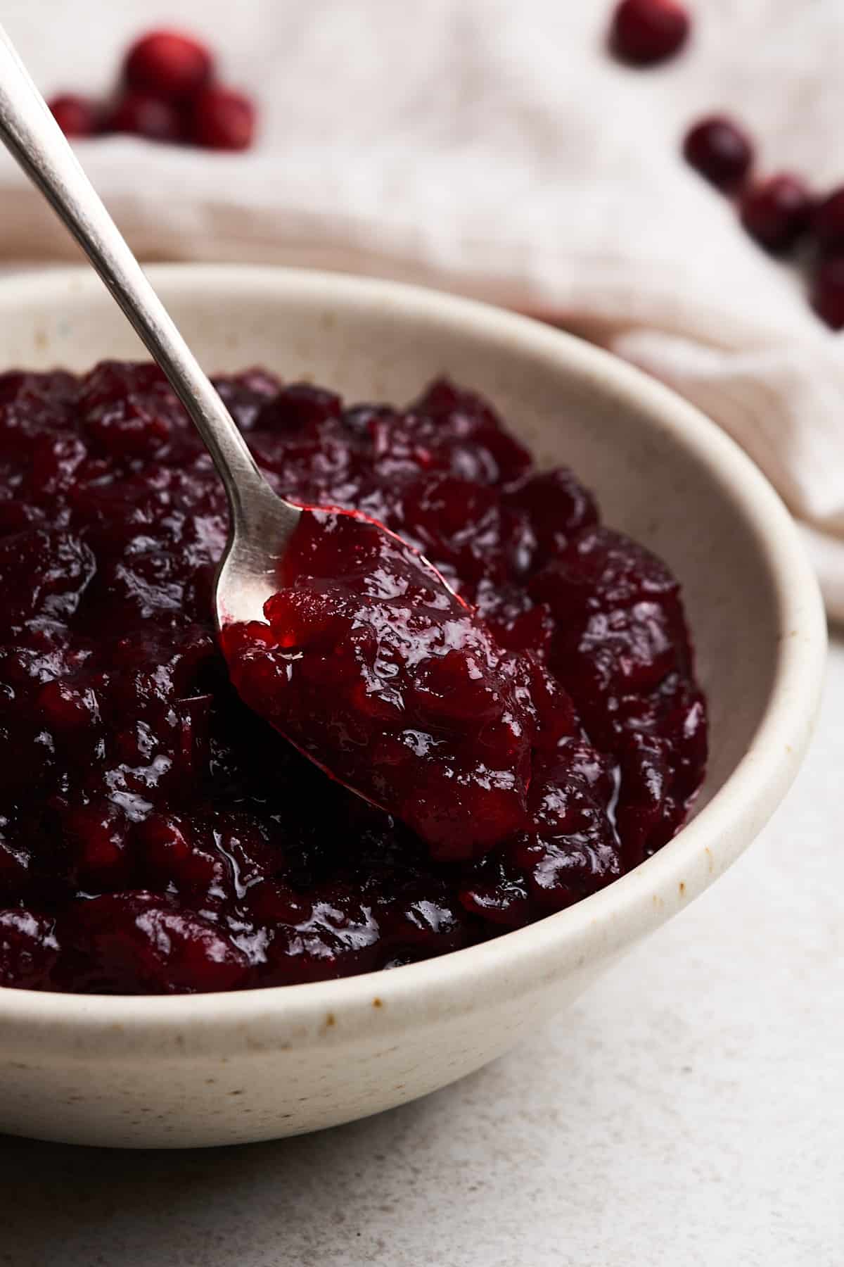 Spoonful of Vegan cranberry sauce.