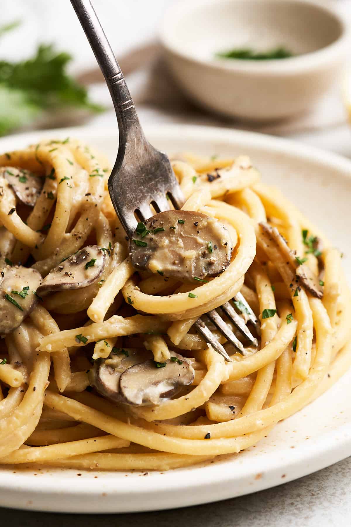 Vegan mushroom pasta on a fork.